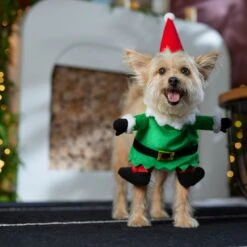 Frisco Front Walking Elf Dog & Cat Costume -Ultimate Pet Shop 357956 PT7. AC SS1800 V1661799329