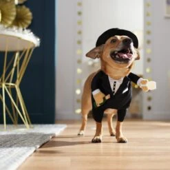 Frisco Front Walking New Years Tuxedo Dog & Cat Costume -Ultimate Pet Shop 358028 PT7. AC SS1800 V1661799888