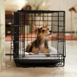 Frisco Adjustable Electrical Dog & Cat Heated Crate Mat With Timer -Ultimate Pet Shop 358546 PT5. AC SS1800 V1662500981