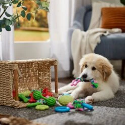 Frisco Small Breed Puppies Rope & TPR Variety Pack Puppy Toy -Ultimate Pet Shop 358552 PT4. AC SS1800 V1669908588
