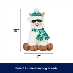 Frisco Holiday Fa La La Llama Plush Squeaky Dog Toy -Ultimate Pet Shop 360924 PT1. AC SS1800 V1695046159