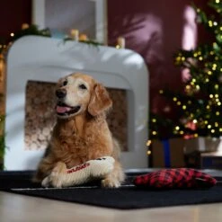 Frisco Holiday "Happy Pawlidays" Bone Plush Squeaky Dog Toy, Medium, 2 Count -Ultimate Pet Shop 360942 PT3. AC SS1800 V1661874360