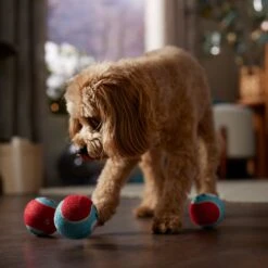 Frisco Holiday Ho Ho Ho Fetch Squeaky Tennis Ball Dog Toy -Ultimate Pet Shop 360952 PT3. AC SS1800 V1661874421