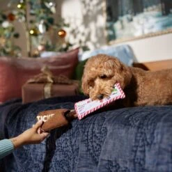 Frisco Holiday Home For The Holidays Airline Ticket Bungee Plush Squeaky Dog Toy -Ultimate Pet Shop 360966 PT3. AC SS1800 V1661874362