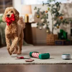 Frisco Holiday Gift Wrapping Set Plush Squeaky Dog Toy -Ultimate Pet Shop 360968 PT3. AC SS1800 V1661874420