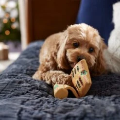 Frisco Holiday Santa's List Plush & TPR Inside Dog Toy -Ultimate Pet Shop 360970 PT3. AC SS1800 V1661874421