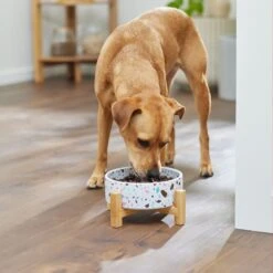 Frisco Elevated Terrazzo Non-skid Ceramic Bowl With Bamboo Stand -Ultimate Pet Shop 363375 PT2. AC SS1800 V1657657266