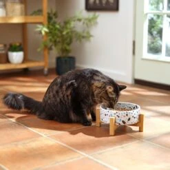 Frisco Elevated Terrazzo Non-skid Ceramic Bowl With Bamboo Stand -Ultimate Pet Shop 363375 PT3. AC SS1800 V1658182548