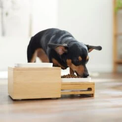 Frisco Elevated Non-Skid Bamboo Melamine Bowl Double Diner With Bamboo Stand -Ultimate Pet Shop 363385 PT5. AC SS1800 V1657657267