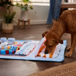 Frisco Vending Machine Snuffle Mat, Blue, Large -Ultimate Pet Shop 363397 PT2. AC SS1800 V1660750518