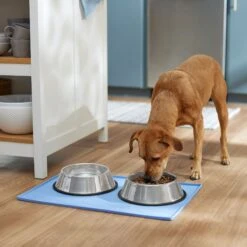 Frisco Silicone Dog & Cat Food Mat, Blue 9 Frisco Silicone Dog & Cat Food Mat, Blue -Ultimate Pet Shop 363399 PT2. AC SS1800 V1660750522