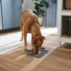 Frisco Non-skid Square Silicone Dog & Cat Lick Mat -Ultimate Pet Shop 363402 PT2. AC SS1800 V1668118082
