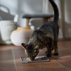 Frisco Non-skid Square Silicone Dog & Cat Lick Mat -Ultimate Pet Shop 363402 PT3. AC SS1800 V1665170734