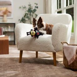 Frisco Valentine Jammin' Ladybug Plush Squeaky Dog Toy -Ultimate Pet Shop 371083 PT3. AC SS1800 V1668737455