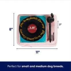 Frisco Valentine Love Song Record Player Hide & Seek Puzzle Plush Squeaky Dog Toy -Ultimate Pet Shop 371087 PT1. AC SS1800 V1701364922