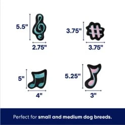 Frisco Valentine Love Song Record Player Hide & Seek Puzzle Plush Squeaky Dog Toy -Ultimate Pet Shop 371087 PT2. AC SS1800 V1701364927