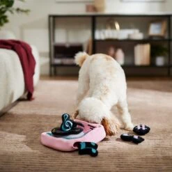 Frisco Valentine Love Song Record Player Hide & Seek Puzzle Plush Squeaky Dog Toy -Ultimate Pet Shop 371087 PT3. AC SS1800 V1668737233