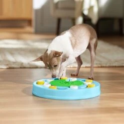 Frisco Seek & Discover Interactive Puzzle Dog Toy, Moderate -Ultimate Pet Shop 506250 PT5. AC SS1800 V1674664929