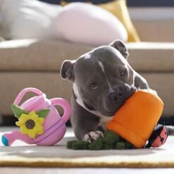 Frisco Spring Potted Plant And Watering Can Plush Squeaky Dog Toy -Ultimate Pet Shop 541494 PT4. AC SS1800 V1702500565