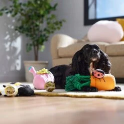 Frisco Spring Plush & Rope Variety Pack Squeaky Dog Toy -Ultimate Pet Shop 541526 PT4. AC SS1800 V1702500565