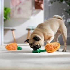 Frisco Easter Carrot Plush With Rope Squeaky Dog Toy -Ultimate Pet Shop 550486 PT4. AC SS1800 V1702500565