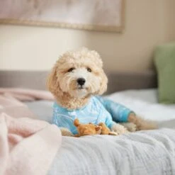 Frisco Blue Ocean Waves Dog & Cat Jersey PJs -Ultimate Pet Shop 556142 PT5. AC SS1800 V1674828705