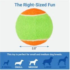 Frisco Dumbbell TPR Fetch Dog Toy + 3 Items -Ultimate Pet Shop 582446 PT6. AC SS1800 V1658238980