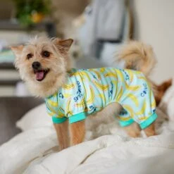 Frisco Go Bananas Dog & Cat Jersey PJs -Ultimate Pet Shop 608998 PT6. AC SS1800 V1676642341