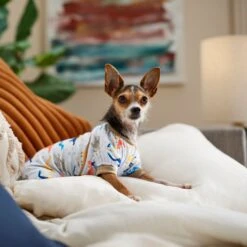 Frisco Dinosaur Dog & Cat Jersey PJs -Ultimate Pet Shop 609062 PT6. AC SS1800 V1676643314