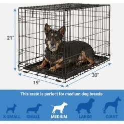 Frisco Fold & Carry Single Door Collapsible Wire Dog Crate + 4 Items -Ultimate Pet Shop 623718 PT2. AC SS1800 V1662739258