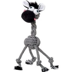 Frisco Fold & Carry Single Door Collapsible Wire Dog Crate + 4 Items -Ultimate Pet Shop 623718 PT7. AC SS1800 V1662734896