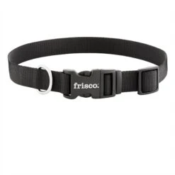 Frisco Solid Nylon Dog Leash + 4 Items -Ultimate Pet Shop 623766 PT5. AC SS1800 V1662735841
