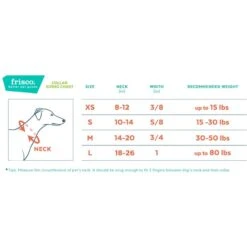 Frisco Solid Nylon Dog Leash + 4 Items -Ultimate Pet Shop 623766 PT6. AC SS1800 V1662739135