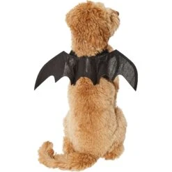 Frisco Bat Wings Dog & Cat Costume & Buckle-Down Batman Shield Polyester Dog Collar -Ultimate Pet Shop 638566 PT3. AC SS1800 V1663254451