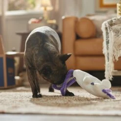 Frisco Halloween Bunny Ghost Plush Squeaky Dog Toy -Ultimate Pet Shop 667878 PT3. AC SS1800 V1689340856