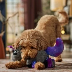 Frisco Halloween Midnight Unicorn Plush Squeaky Dog Toy -Ultimate Pet Shop 667958 PT3. AC SS1800 V1689350103