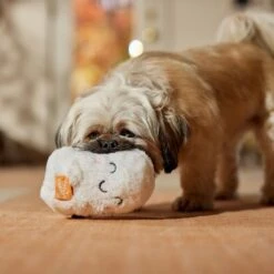 Frisco Halloween Trick Or Treat Ghost Plush Squeaky Dog Toy -Ultimate Pet Shop 667974 PT3. AC SS1800 V1689350978