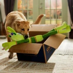 Frisco Halloween Alien Wagazoo Plush Squeaky Dog Toy, Extra Long -Ultimate Pet Shop 668134 PT3. AC SS1800 V1689282428