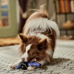 Frisco Halloween Bat Fetch Squeaky Tennis Ball Dog Toy -Ultimate Pet Shop 668278 PT3. AC SS1800 V1689350166