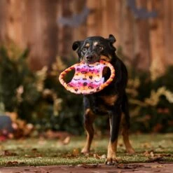 Frisco Halloween Ghost Swirl Fetch Flyer Dog Toy -Ultimate Pet Shop 668294 PT3. AC SS1800 V1689278363