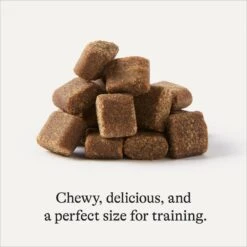 Frisco Giant Charcoal Dog Training & Potty Pads & American Journey Beef Recipe Grain-Free Soft & Chewy Training Bits Dog Treats -Ultimate Pet Shop 678566 PT7. AC SS1800 V1681825758