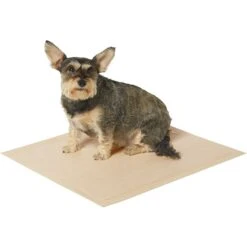 Frisco Large Eco-Conscious Dog Training & Potty Pads & American Journey Peanut Butter Recipe Grain-Free Oven Baked Crunchy Biscuit Dog Treats 12 Frisco Large Eco-Conscious Dog Training & Potty Pads & American Journey Peanut Butter Recipe Grain-Free Oven Baked Crunchy Biscuit Dog Treats -Ultimate Pet Shop 678574 PT3. AC SS1800 V1667863365