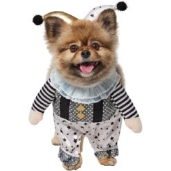Frisco Front Walking Glitter Clown Dog & Cat Costume -Ultimate Pet Shop 707542 PT2. AC SS1800 V1689351699