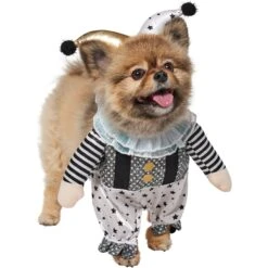 Frisco Front Walking Glitter Clown Dog & Cat Costume -Ultimate Pet Shop 707542 PT3. AC SS1800 V1689278296