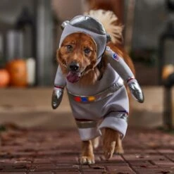 Frisco Front Walking LED Astronaut Dog & Cat Costume -Ultimate Pet Shop 707630 PT7. AC SS1800 V1689278700