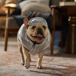 Frisco Disco Ball Dog & Cat Costume -Ultimate Pet Shop 707934 PT7. AC SS1800 V1689271312