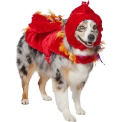 Frisco Flying Phoenix Dog & Cat Costume -Ultimate Pet Shop 708150 PT3. AC SS1800 V1691084928