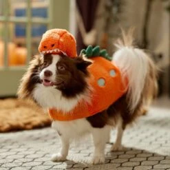 Frisco Furry Dinosaur Dog & Cat Costume 14 Frisco Furry Dinosaur Dog & Cat Costume -Ultimate Pet Shop 708190 PT7. AC SS1800 V1689278373