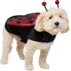 Frisco Glittered Ladybug Dog & Cat Costume