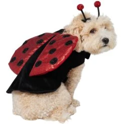 Frisco Glittered Ladybug Dog & Cat Costume -Ultimate Pet Shop 708254 PT3. AC SS1800 V1689350986